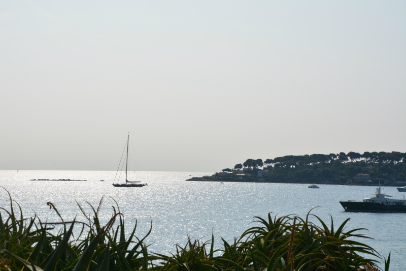 CANNES ANTIBES 220